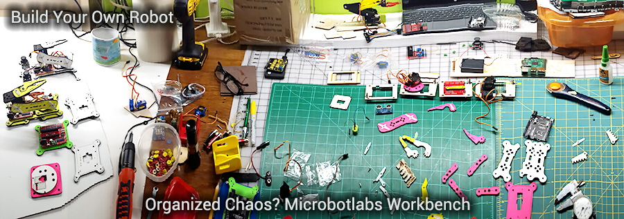 MicrobotLabs Robot Workbench